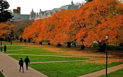 The Eight Factors College Admissions Officials Look for in Your Application