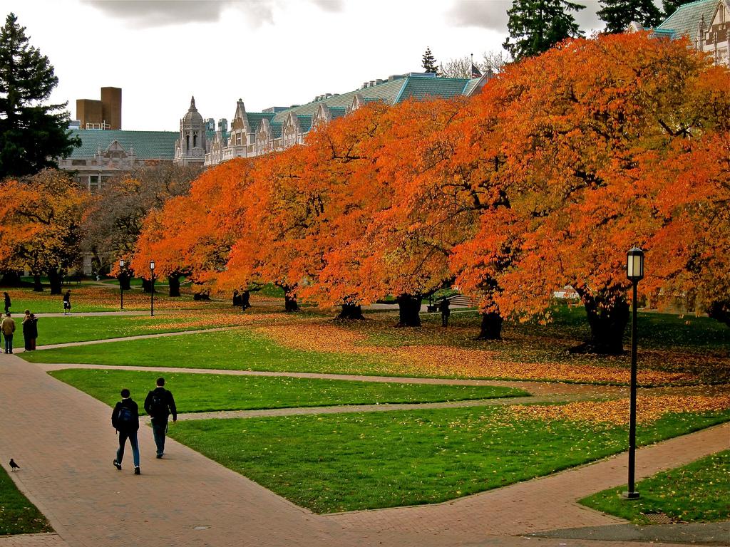 College Admissions Officials