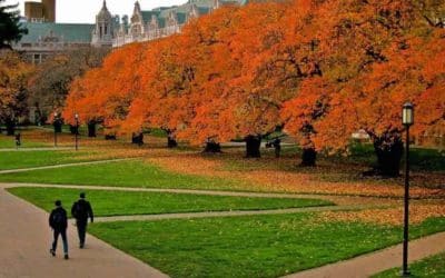 Start the Year Right! Fall Tips for College Planning