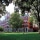 ClarkUniversity